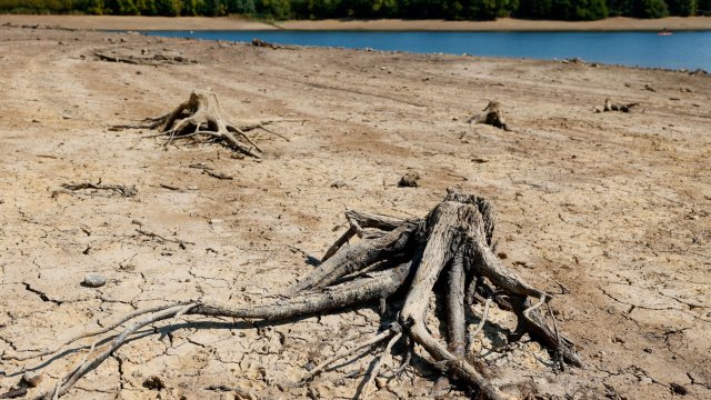 Тъй като сушите се влошават по целия свят инвеститорите засилват