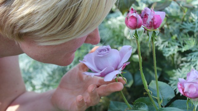 Един от най честите и характерни симптоми на Ковид 19 са нарушенията