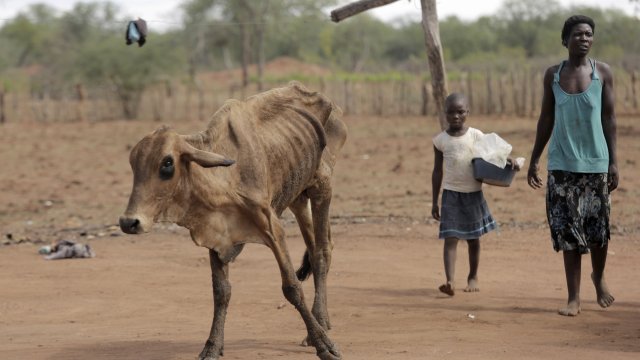 Четири от пет града по света са изправени пред значителни
