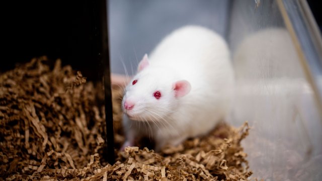 Русия продължава да твърди че Украйна уж тайно помага на