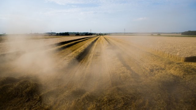 Износът от Русия на пшеница ръж ечемик и царевица е