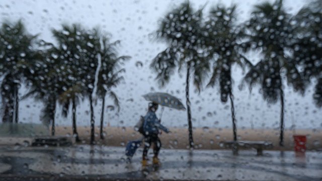 Жертвите на проливните дъждове и свлачищата в Бразилия вече са