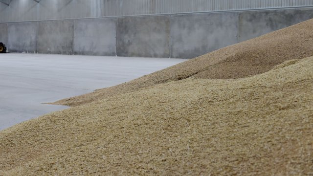 Русия е изнесла пшеница от окупираните украински територии за поне