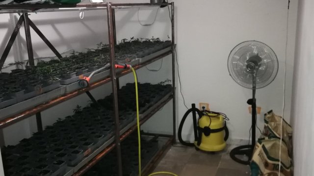 56 са задържаните до момента в рамките на започналата в