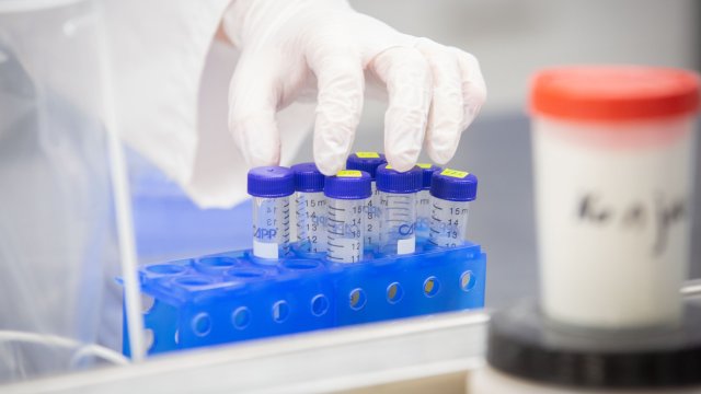 Новите случаи на Ковид 19 в страната през последното денонощие са