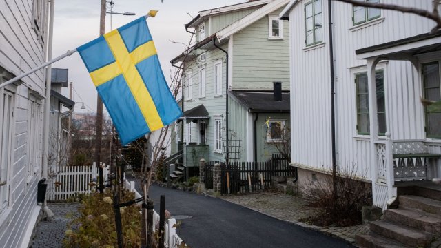 Шведският премиер призова днес жителите на страната да потребяват по малко