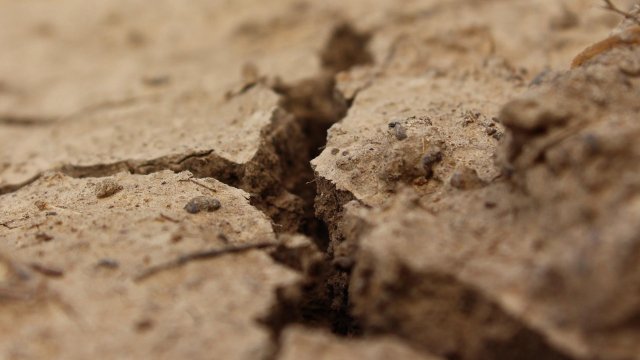 Италианската област Ломбардия обяви извънредно положение заради недостига на вода