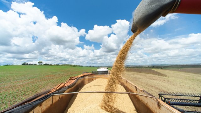 Президентът на Украйна Володимир Зеленски призовава земеделските стопани да засеят