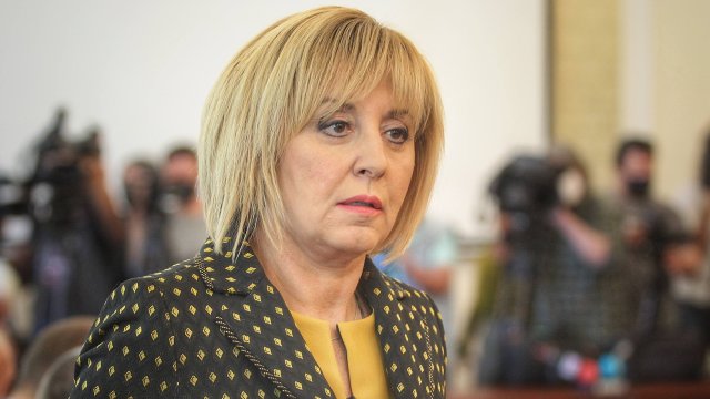 Лидерът на гражданската платформа Изправи се България Мая Манолова внесе