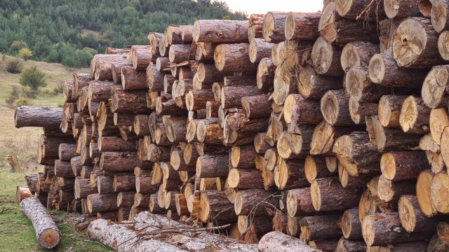 Близо 140 акта са съставени в резултат на приблизително 6000