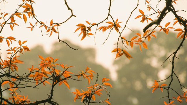 Днес над по голямата част от страната облачността ще е значителна