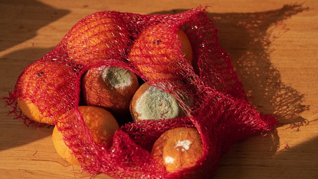 Изхвърлянето на храна е глобален проблем който оказва силно негативно