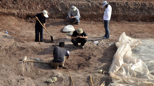 Откриването на невероятни вкаменелости на гигантско морско влечуго разкрива как