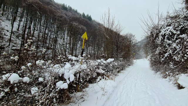 Североизточна България продължава да бедства, труднодостъпни райони са откъснати от света