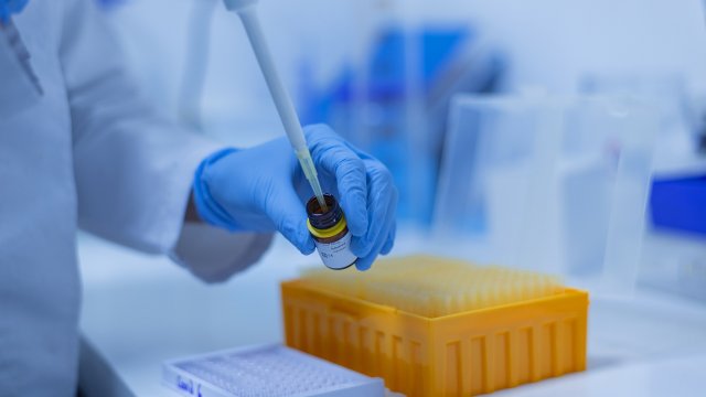 Специалният пратеник на Световната здравна организация СЗО за Ковид 19