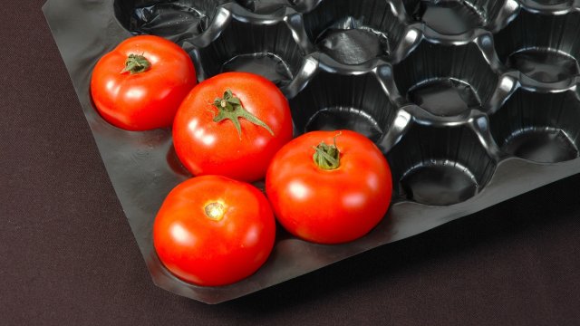 Голям процент от произведените в световен мащаб пластмаси се използват