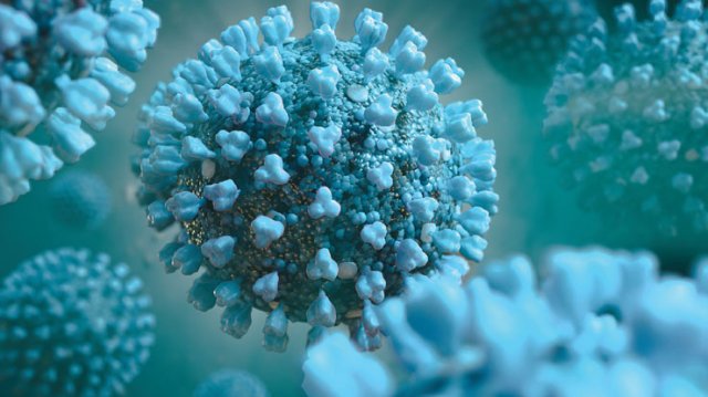САЩ дадоха експресно одобрение на нов тест за коронавирус - Bgonair