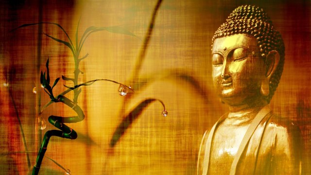 Има думи които могат да променят живота ни ако ги