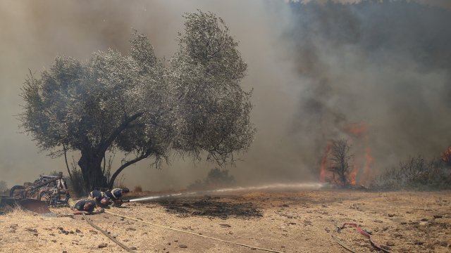 Голям горски пожар се разрази днес близо до известния турски