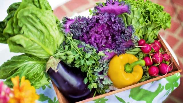 Зеленчуците са едни от най здравословните храни Те са безценен източник