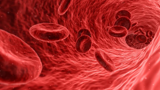 Учени от Свободния университет в Амстердам в Холандия откриха микропластмаси