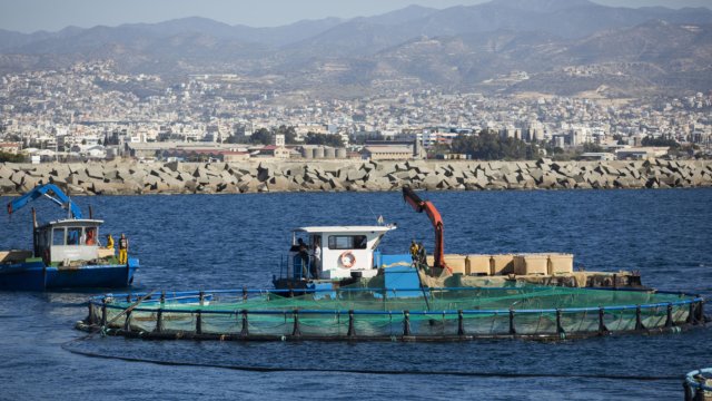 Постигнатите резултати са задоволителни при продължаващите коронавирусни условия и дават