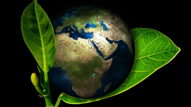 Днес отбелязваме Световния ден на околната среда който тази година
