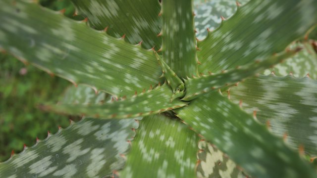 Тъй като светът преминава към възобновяема енергия вятърните турбини и