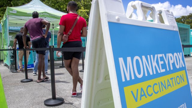 От само шепа инфекции в началото на май маймунската шарка