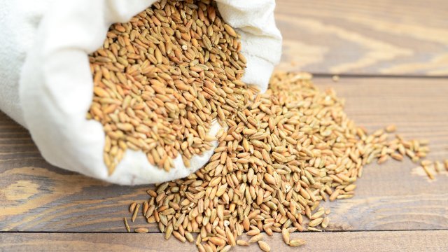 Руската инвазия в Украйна значително е навредила на селскостопанското производство