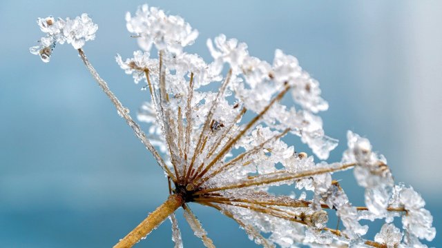 Днес ще преобладава облачно време До обяд само на отделни