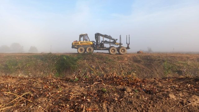 Крайречна ивица гора растяща покрай брега на река Мътивир недалеч