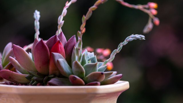 Младият учен асистент Нина Стоянова Нанкова е представител на изследователски проект