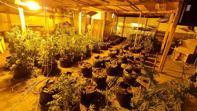 Специализирана полицейска операция е осъществена от служители на ГДБОП МВР след