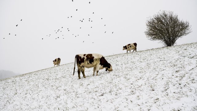Глобално затопляне над 1 5 градуса Целзий може да предизвика няколко