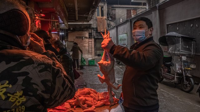 Две проучвания предоставят повече доказателства че пандемията от новия коронавирус