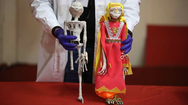 Все още съществуват съмнения дали малките мумии са автентични.