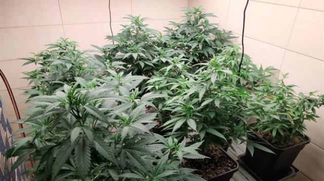 Специализирана полицейска операция е проведена на 9 септември на територията