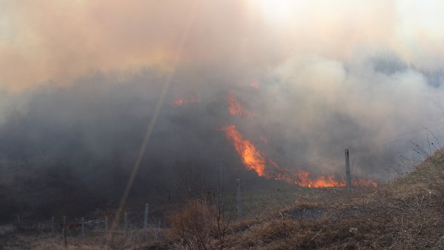 Голям пожар е лумнал този следобед в местността Нивище на 10 ина