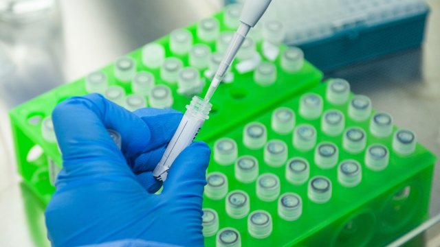 Има предположение с почти 99 сигурност че вариантът Омикрон на