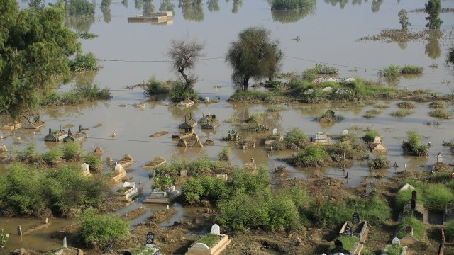 Най малко 1136 са вече жертвите на мусонните дъждове в Пакистан