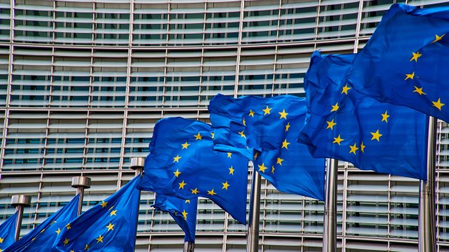 България Полша Словакия Чехия Естония Латвия и Литва ще получат