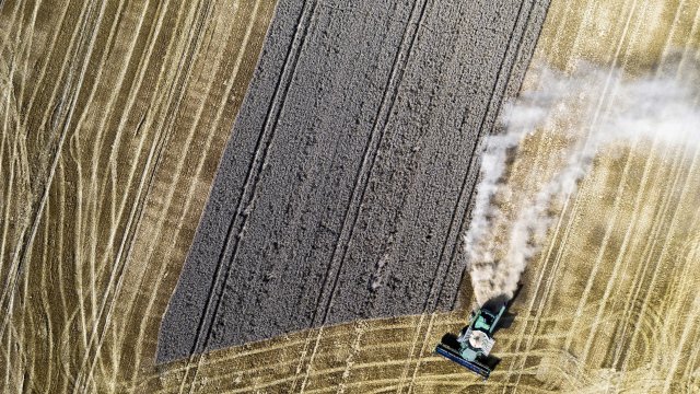 През последните седмици цените на пшеницата в света излязоха извън