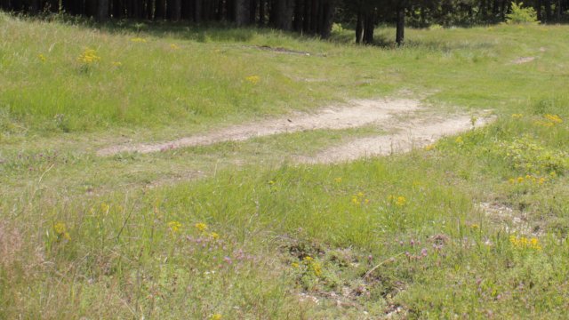 В платформата на получихме сигнал с молба за съдействие от