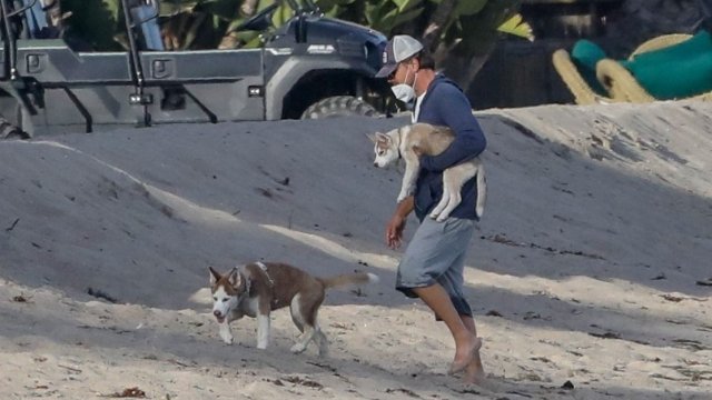 Американският актьор Леонардо ди Каприо спаси двете си кучета хвърляйки
