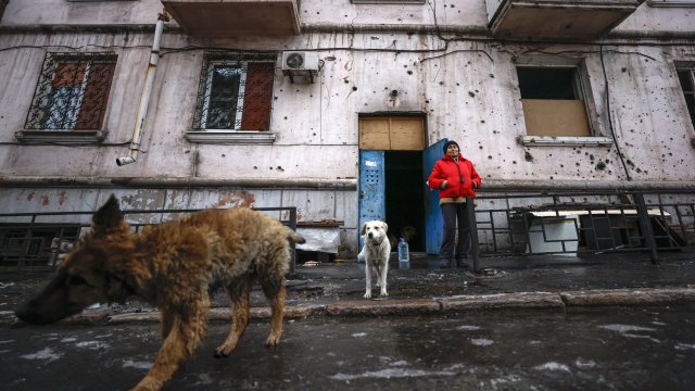 Мащабите на разрушенията се виждат добре на сателитните снимки Безбройните