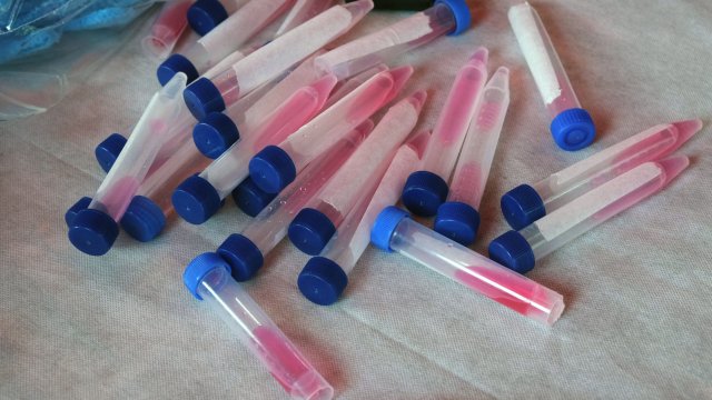 Лидерът в интернет търговията на дребно Amazon поставя ограничение за