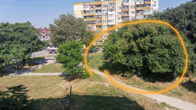 В платформата на ни писаха от град Варна за това