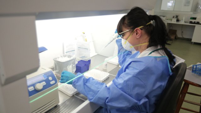 12 са положителните проби за коронавирус за последното денонощие 2274