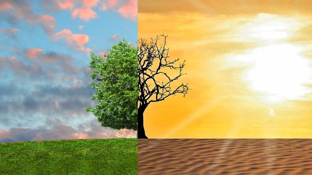 Суша ще засегнe Европа заради климатичните промени предаде Асошиейтед прес